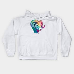 Aries Multicolor Kids Hoodie